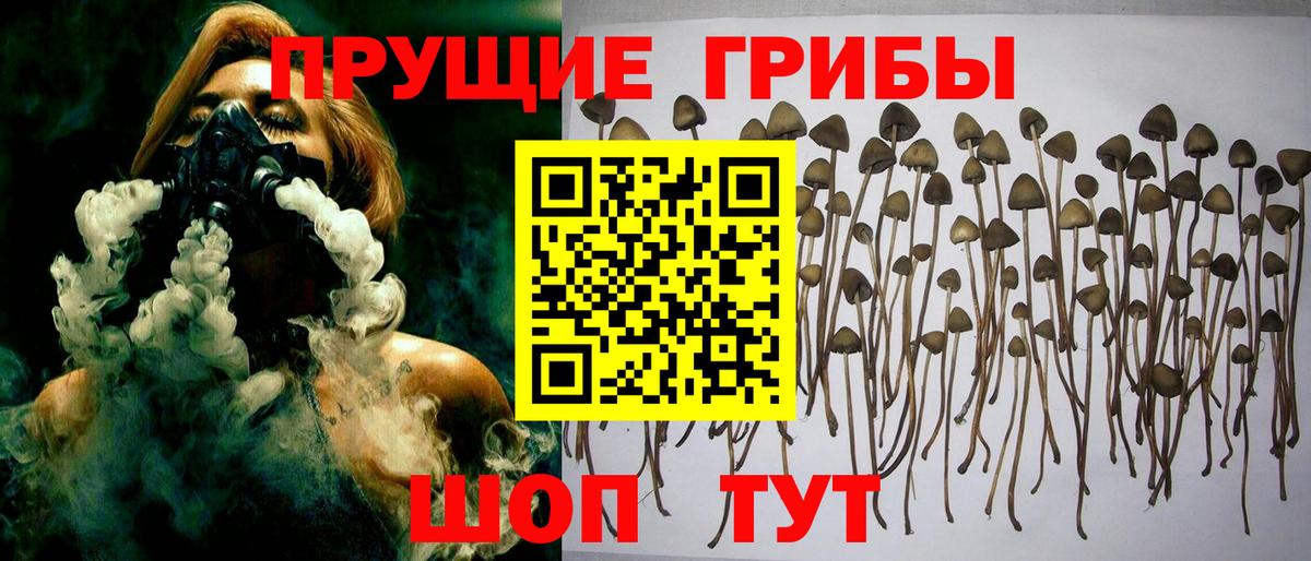 Псилоцибиновые грибы MAGIC MUSHROOMS Большой Камень