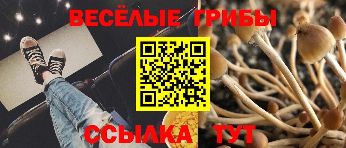 Псилоцибиновые грибы Magic Shrooms  Псилоцибиновые грибы MAGIC MUSHROOMS  Большой Камень  Вход с VPN 